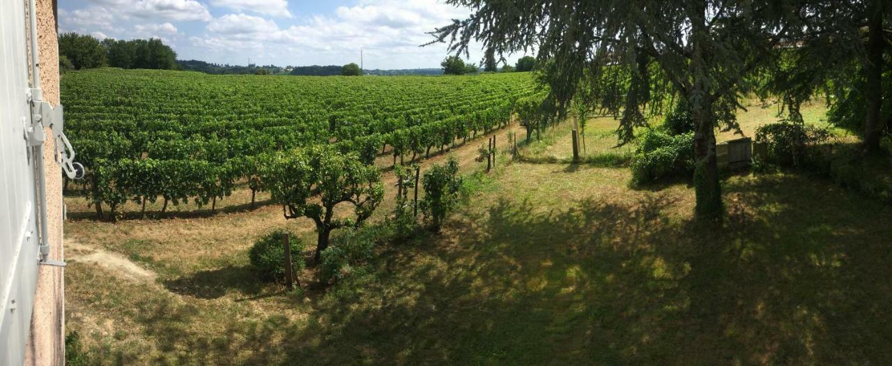 Mirande Montagne-Saint Emilion Appartement Montagne  Buitenkant foto