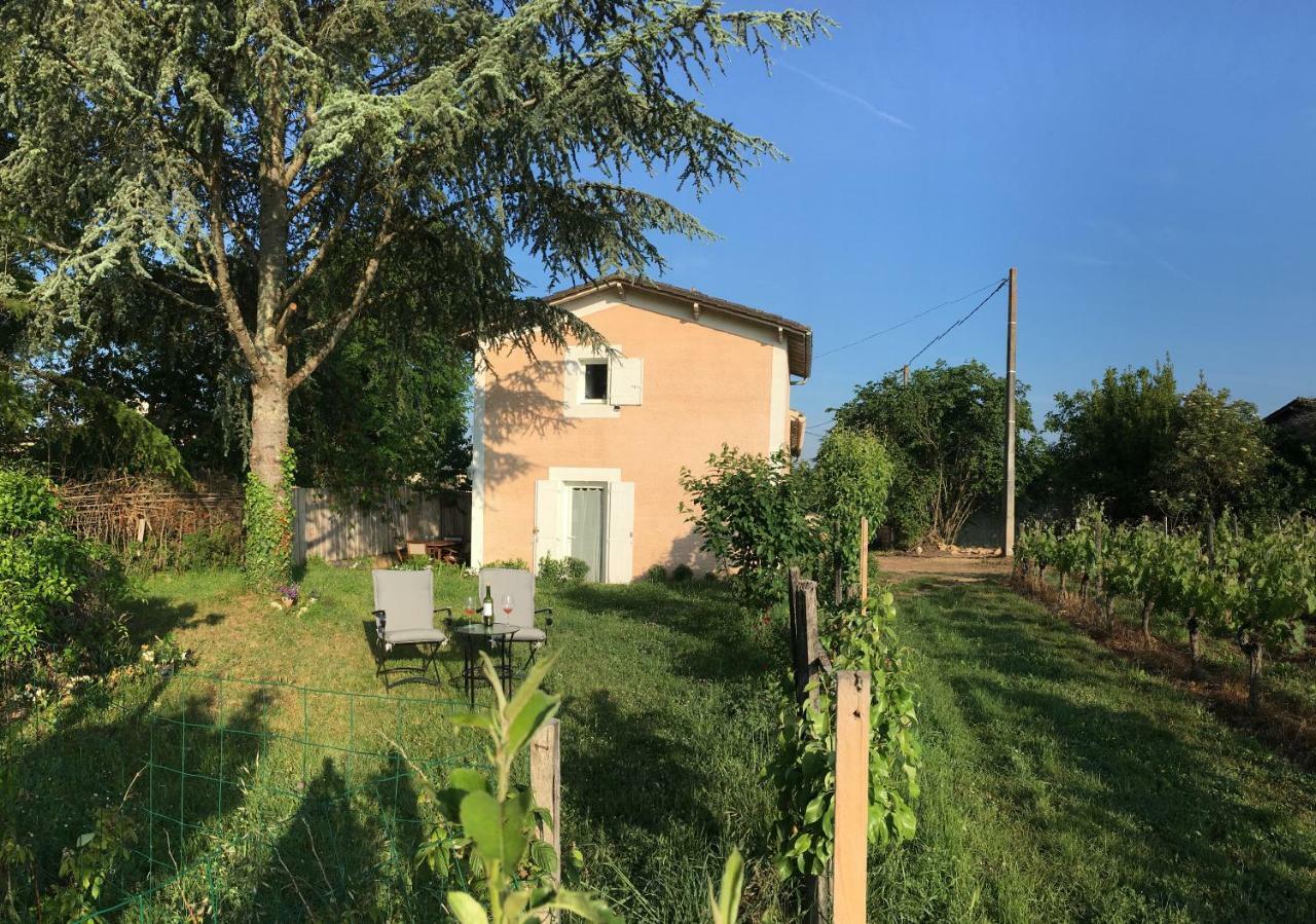 Mirande Montagne-Saint Emilion Appartement Montagne  Buitenkant foto